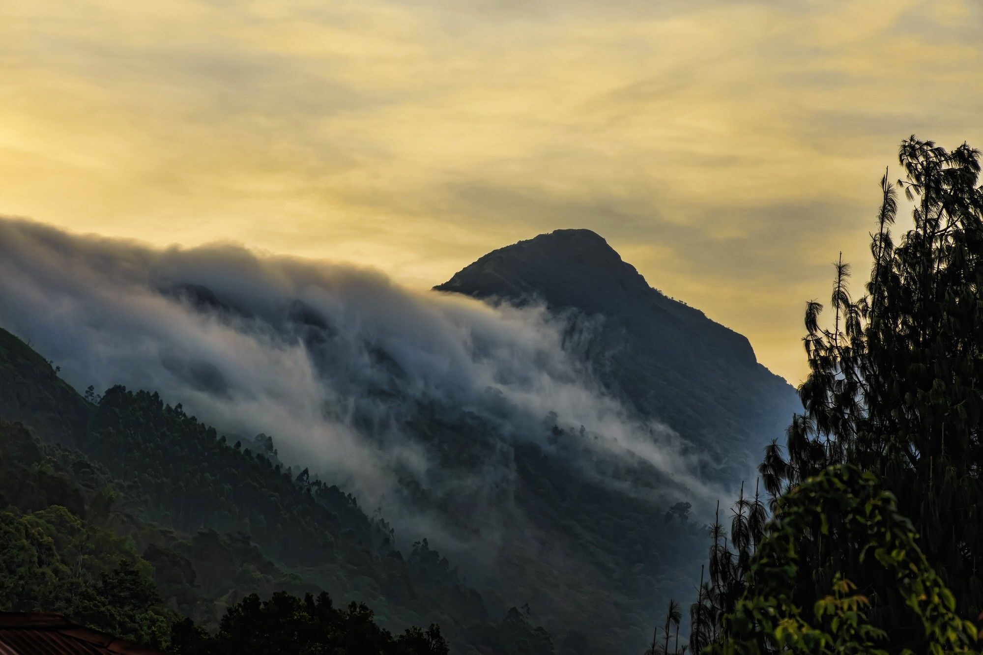 Windermere Estate Munnar Exterior foto
